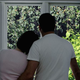 Image for article titled Area Family Awakes To Find Michelle Obama Tending Backyard Garden